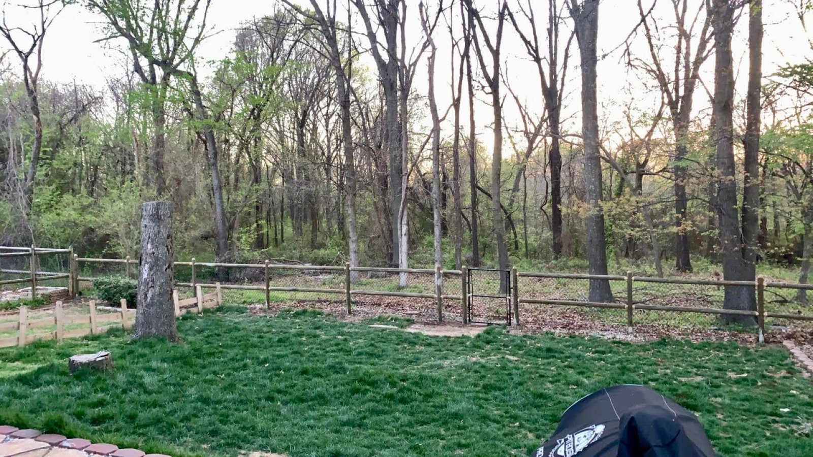 489962308-122121078326744170-7206896077573996519-n